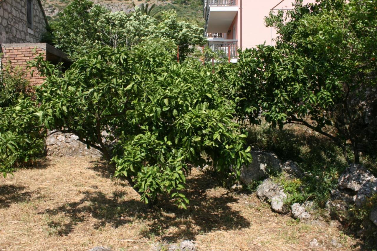 Apartments By The Sea Podaca, Makarska - 6874 Ngoại thất bức ảnh